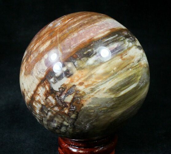 Colorful Petrified Wood Sphere #20612